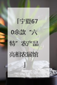 宁夏670余款“六特”农产品亮相农展馆