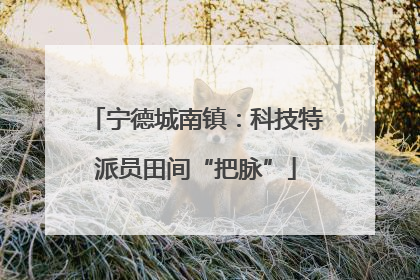 宁德城南镇：科技特派员田间“把脉”