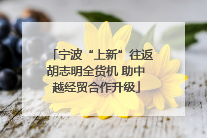 宁波“上新”往返胡志明全货机 助中越经贸合作升级