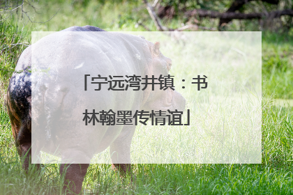 宁远湾井镇：书林翰墨传情谊