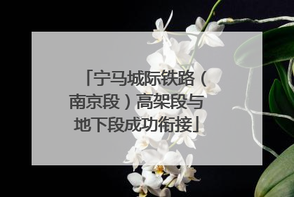 宁马城际铁路（南京段）高架段与地下段成功衔接