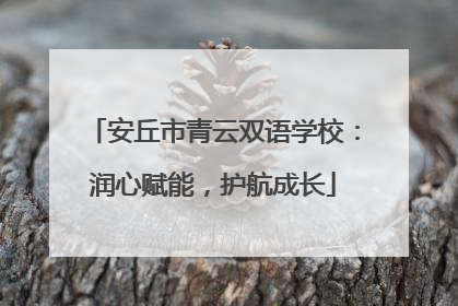 安丘市青云双语学校：润心赋能，护航成长