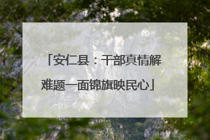 安仁县：干部真情解难题一面锦旗映民心