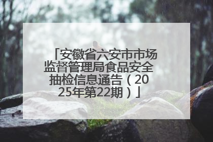 安徽省六安市市场监督管理局食品安全抽检信息通告（2025年第22期）