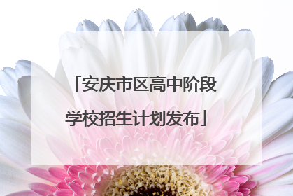 安庆市区高中阶段学校招生计划发布