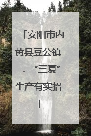 安阳市内黄县豆公镇：“三夏”生产有实招