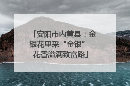 安阳市内黄县：金银花里采“金银” 花香溢满致富路