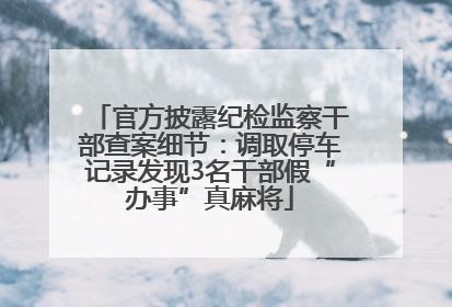 官方披露纪检监察干部查案细节：调取停车记录发现3名干部假“办事”真麻将
