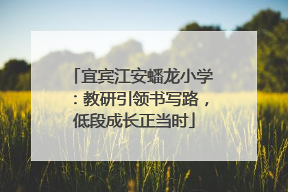 宜宾江安蟠龙小学：教研引领书写路，低段成长正当时