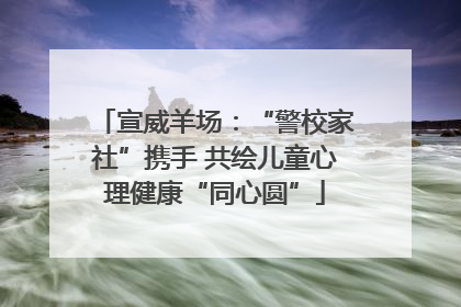 宣威羊场：“警校家社”携手 共绘儿童心理健康“同心圆”