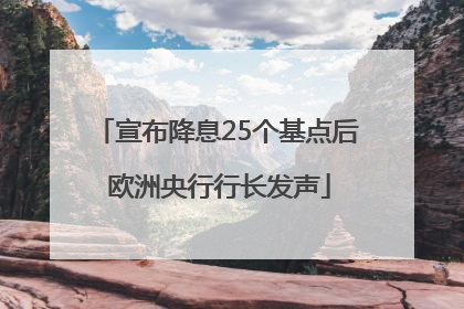 宣布降息25个基点后 欧洲央行行长发声