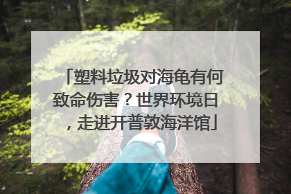 塑料垃圾对海龟有何致命伤害？世界环境日，走进开普敦海洋馆