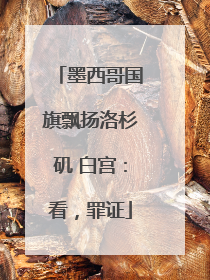 墨西哥国旗飘扬洛杉矶 白宫：看，罪证