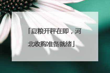 夏粮开秤在即，河北收购准备就绪