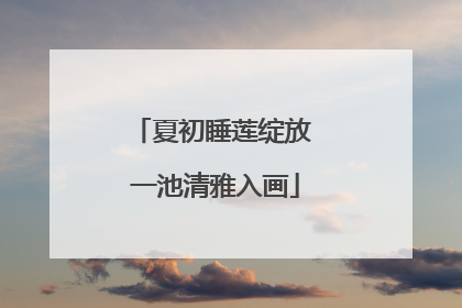 夏初睡莲绽放 一池清雅入画