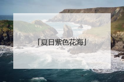 夏日紫色花海