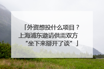 外资想投什么项目？上海浦东邀请供需双方“坐下来掰开了谈”
