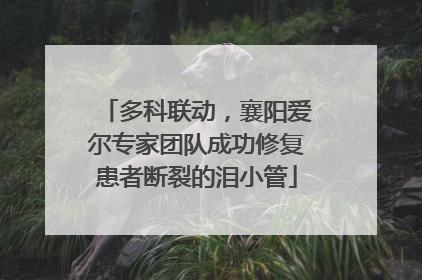 多科联动，襄阳爱尔专家团队成功修复患者断裂的泪小管