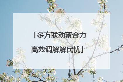 多方联动聚合力 高效调解解民忧