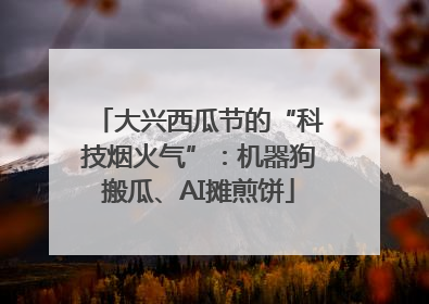 大兴西瓜节的“科技烟火气”：机器狗搬瓜、AI摊煎饼
