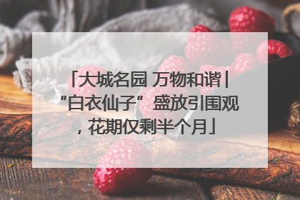 大城名园 万物和谐│“白衣仙子”盛放引围观，花期仅剩半个月