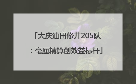大庆油田修井205队：毫厘精算创效益标杆