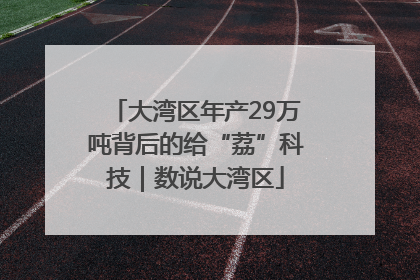 大湾区年产29万吨背后的给“荔”科技｜数说大湾区