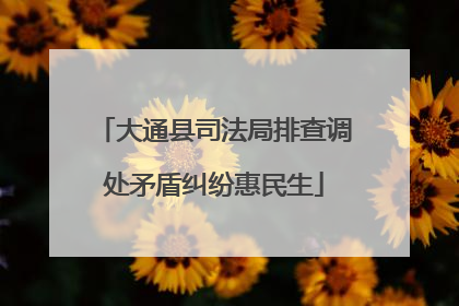 大通县司法局排查调处矛盾纠纷惠民生