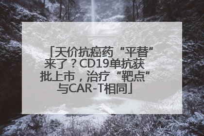 天价抗癌药“平替”来了？CD19单抗获批上市，治疗“靶点”与CAR-T相同