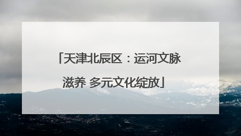 天津北辰区：运河文脉滋养 多元文化绽放