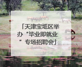 天津宝坻区举办“毕业即就业”专场招聘会