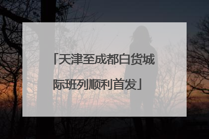 天津至成都白货城际班列顺利首发