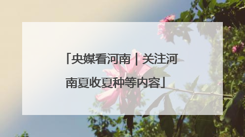 央媒看河南｜关注河南夏收夏种等内容