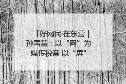 好网民·在东营｜孙雪慧：以“网”为媒传税音 以“屏”为介助发展
