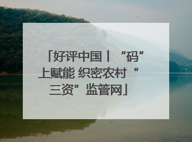 好评中国丨“码”上赋能 织密农村“三资”监管网