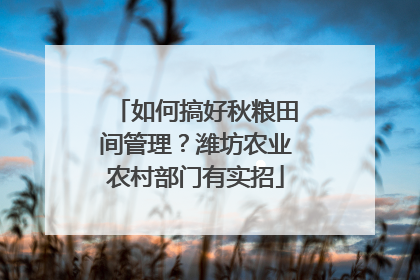 如何搞好秋粮田间管理？潍坊农业农村部门有实招