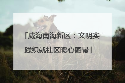 威海南海新区：文明实践织就社区暖心图景