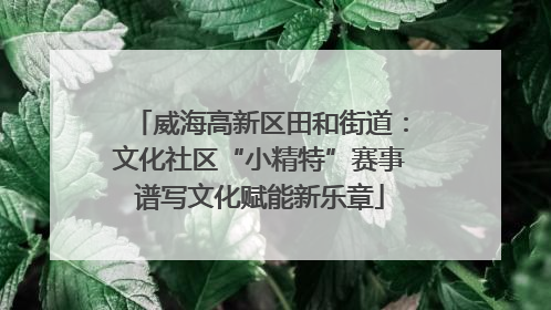 威海高新区田和街道：文化社区“小精特”赛事谱写文化赋能新乐章