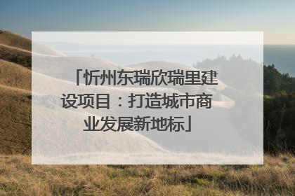 忻州东瑞欣瑞里建设项目：打造城市商业发展新地标