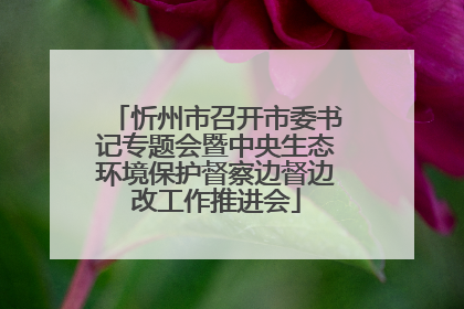 忻州市召开市委书记专题会暨中央生态环境保护督察边督边改工作推进会