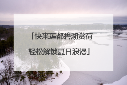 快来莲都碧湖赏荷 轻松解锁夏日浪漫