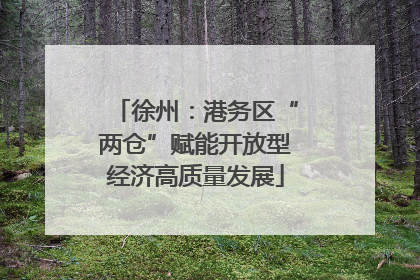 徐州：港务区“两仓”赋能开放型经济高质量发展