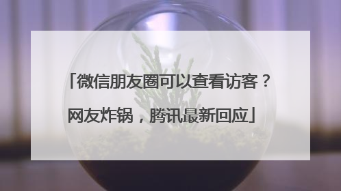 微信朋友圈可以查看访客？网友炸锅，腾讯最新回应