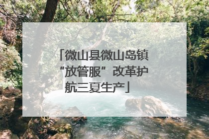 微山县微山岛镇“放管服”改革护航三夏生产