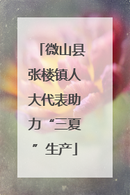 微山县张楼镇人大代表助力“三夏”生产