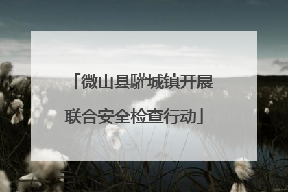 微山县驩城镇开展联合安全检查行动