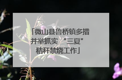 微山县鲁桥镇多措并举抓实 “三夏” 秸秆禁烧工作