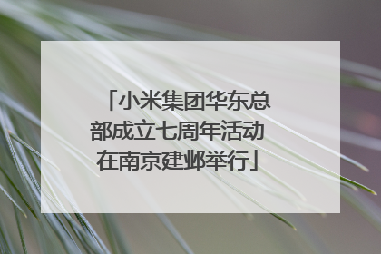 小米集团华东总部成立七周年活动在南京建邺举行
