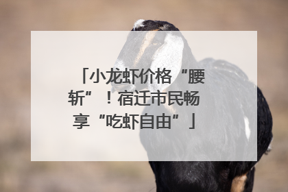 小龙虾价格“腰斩”！宿迁市民畅享“吃虾自由”