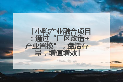 小鸭产业融合项目：通过“厂区改造+产业置换”，盘活存量，增值增效